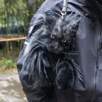 Maine Coon Backpack product image 1