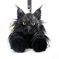 Maine Coon Backpack product image 6