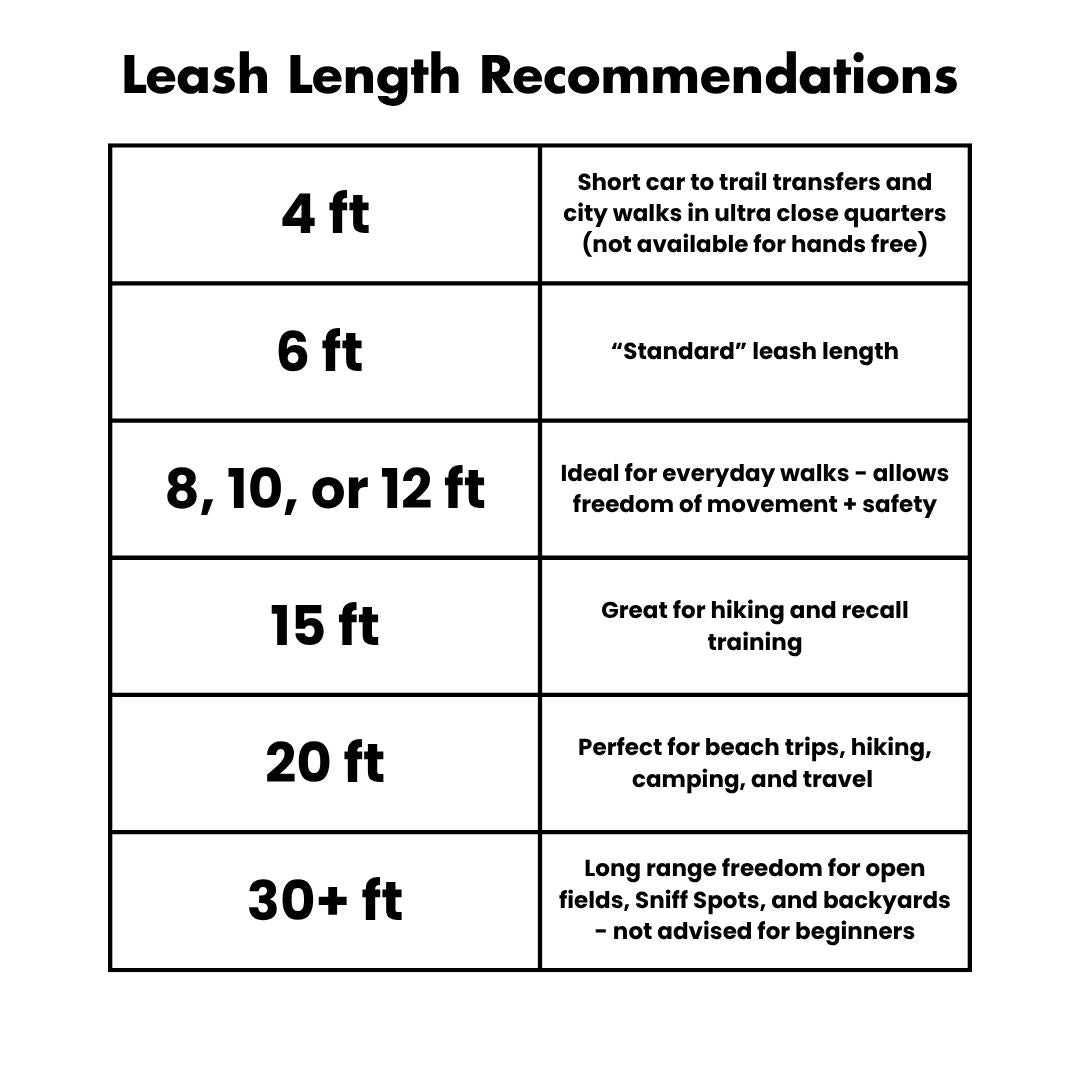Hands-Free Dog Leash product image 3