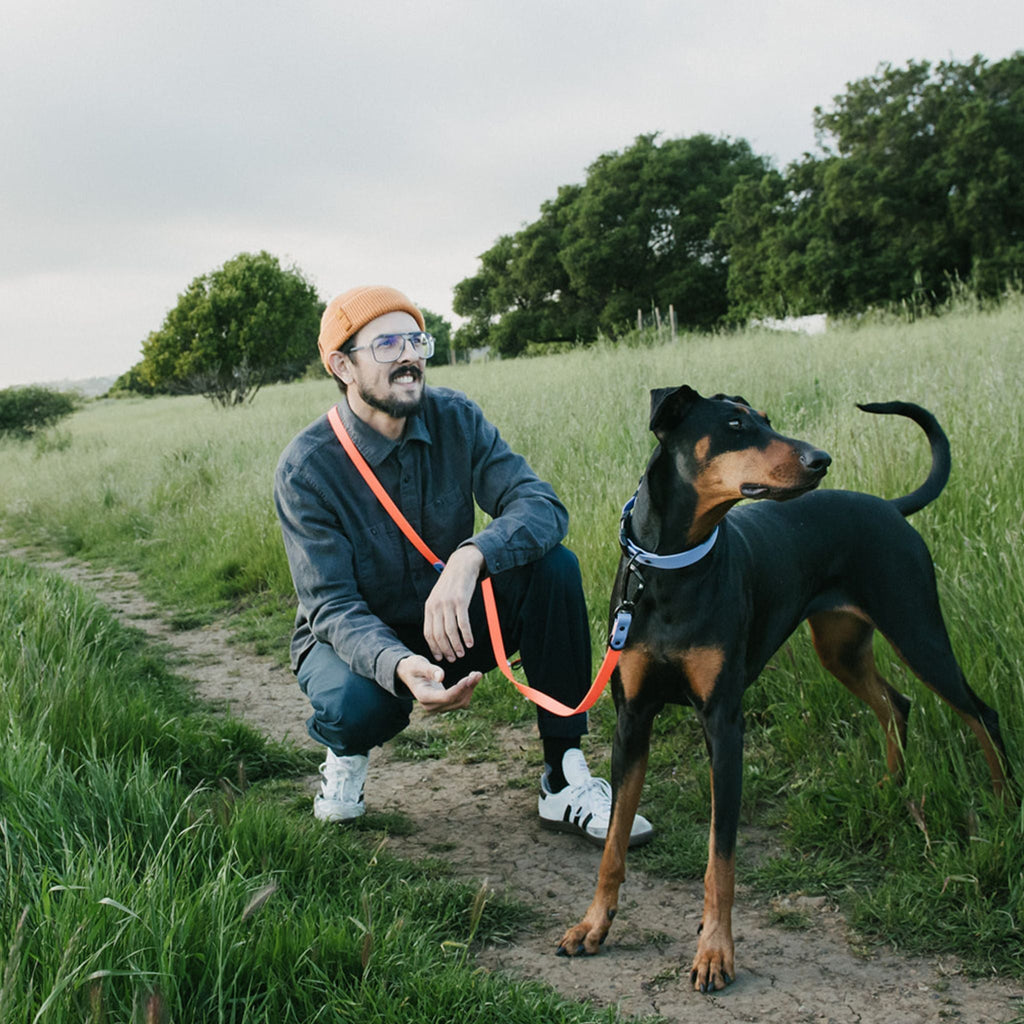 Hands-Free Dog Leash product image 12