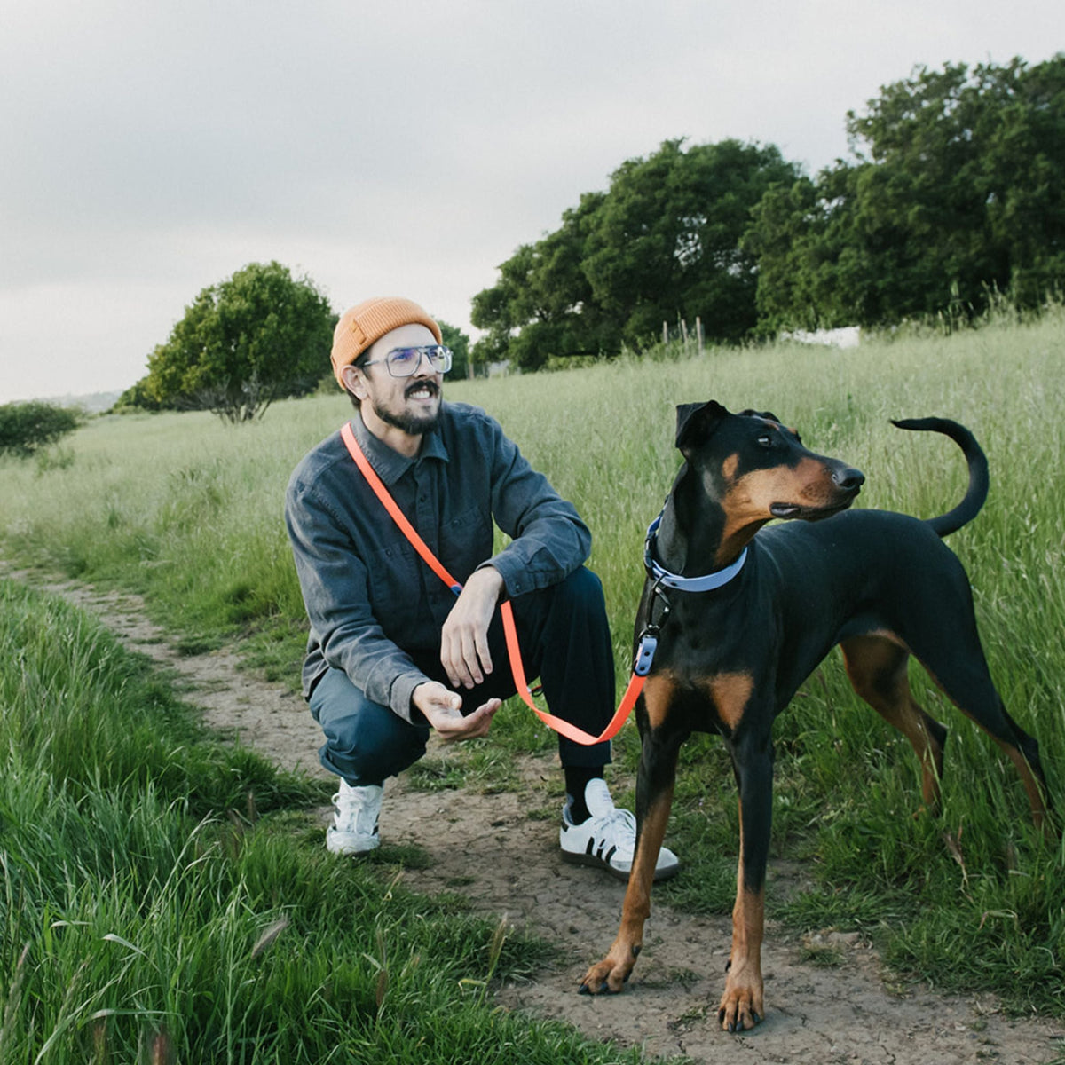 Hands-Free Dog Leash product image 12