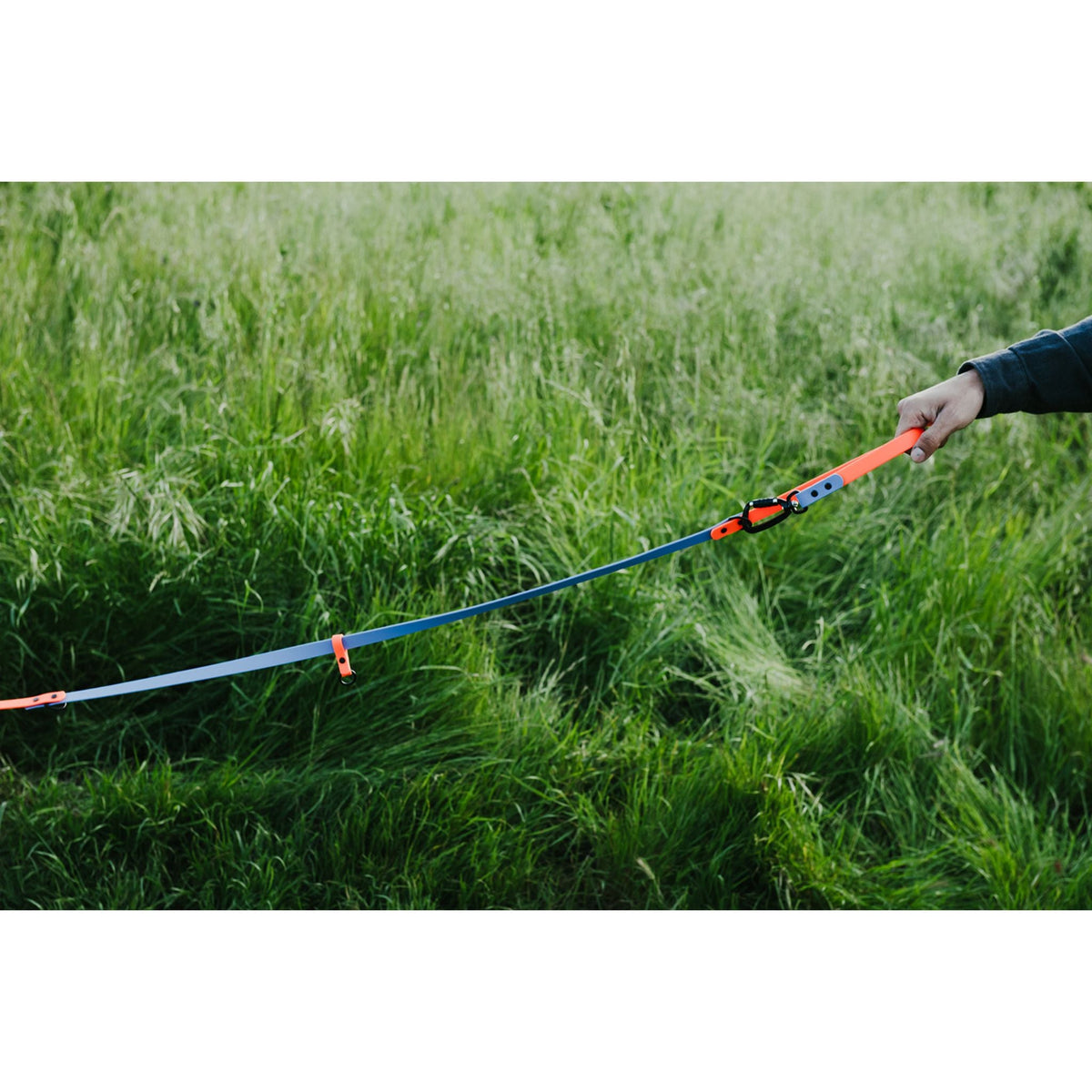 Hands-Free Dog Leash product image 13
