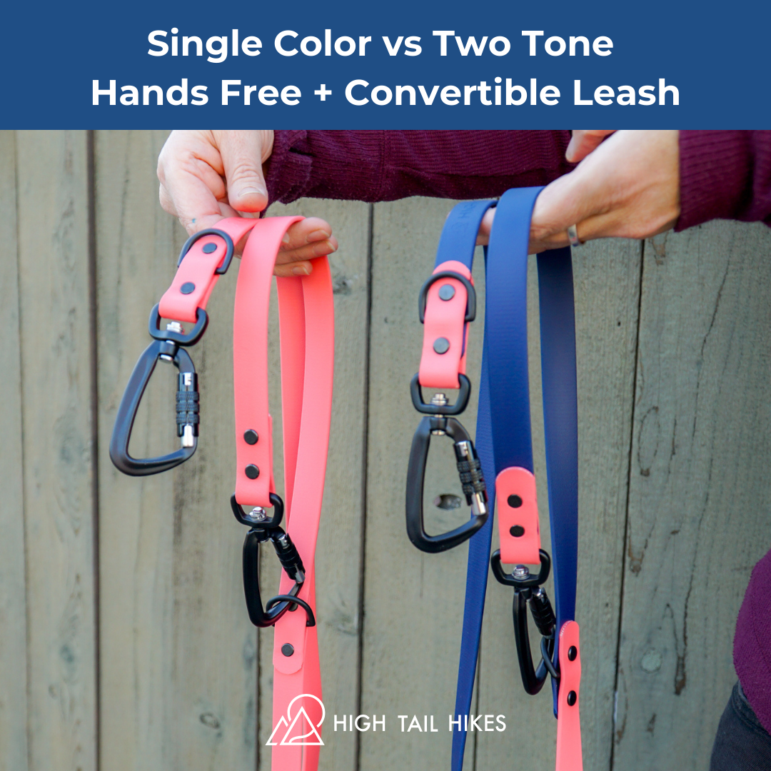 Hands-Free Dog Leash product image 14