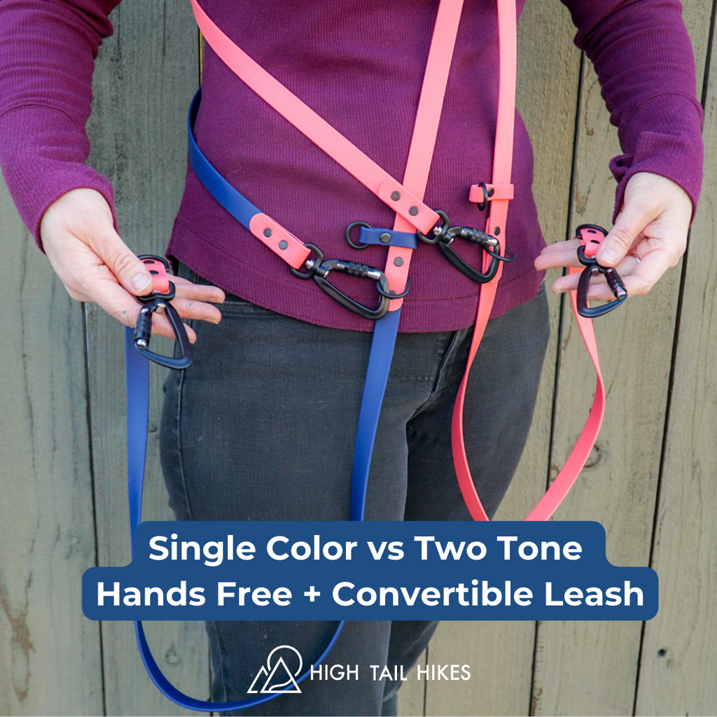 Hands-Free Dog Leash product image 15