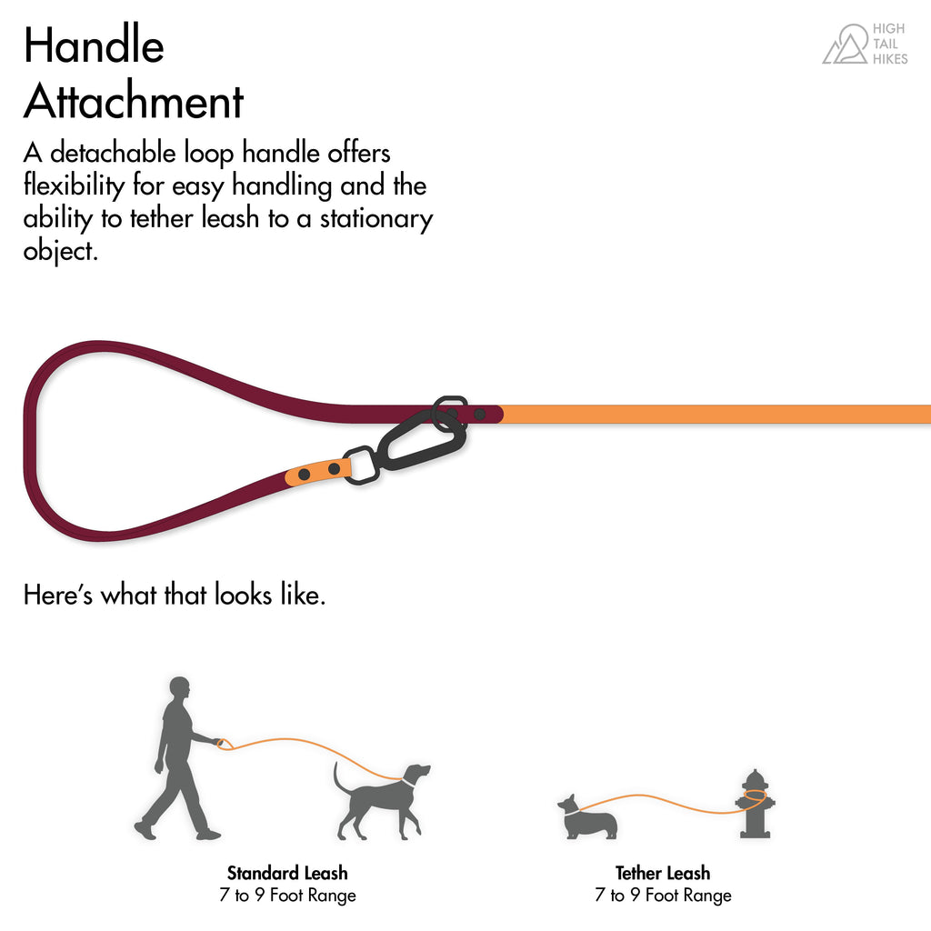 Hands-Free Dog Leash product image 17