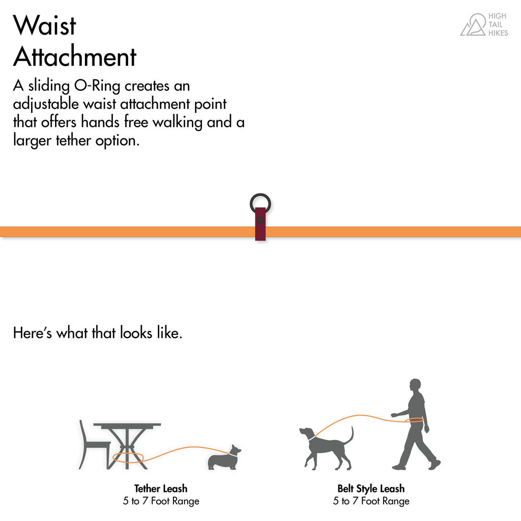 Hands-Free Dog Leash product image 18