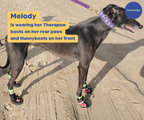 Greyhound Boots product image 4