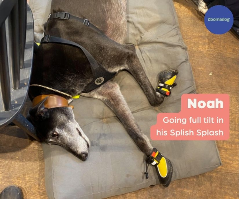 Greyhound Boots product image 5