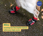 Greyhound Boots product image 8