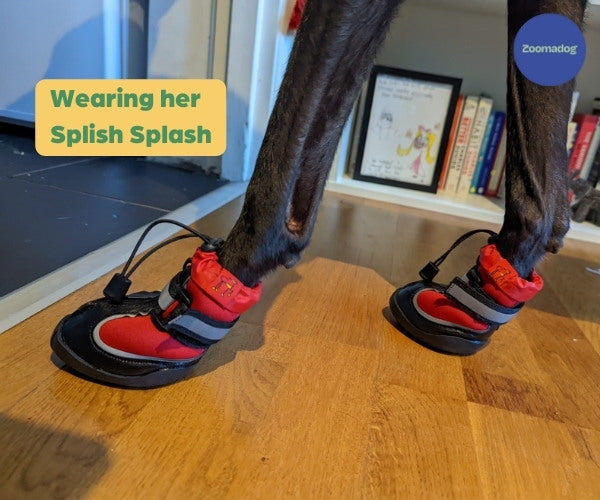 Greyhound Boots product image 9