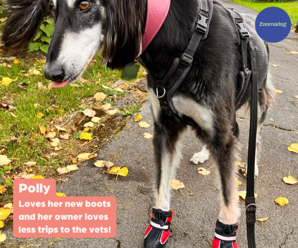 Greyhound Boots product image 12