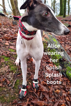 Greyhound Boots product image 13