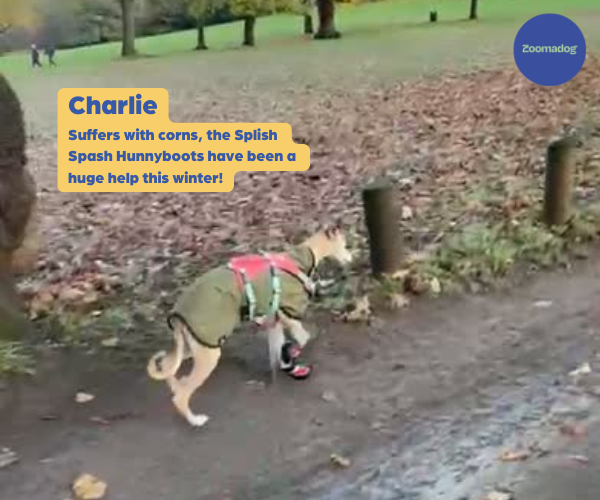 Greyhound Boots product image 17