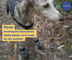 Greyhound Boots product image 18