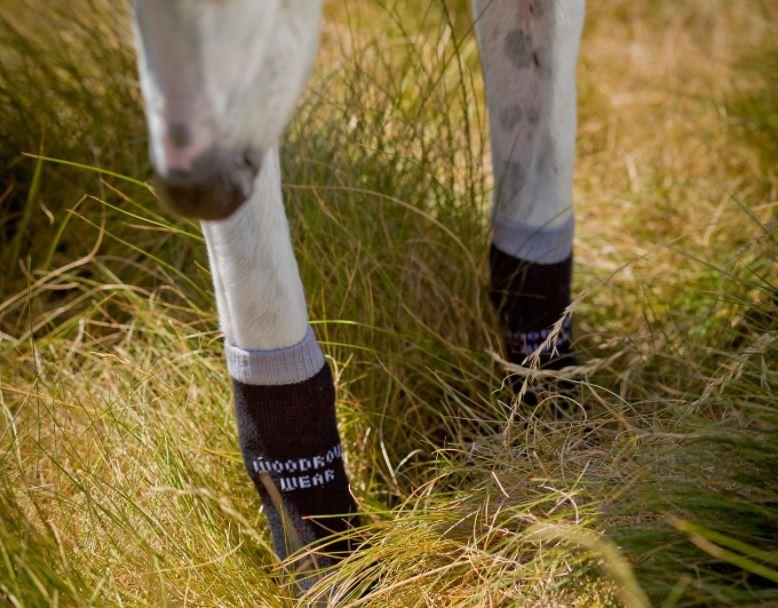 Non-Slip Cotton Dog Socks for Greyhounds product image 4