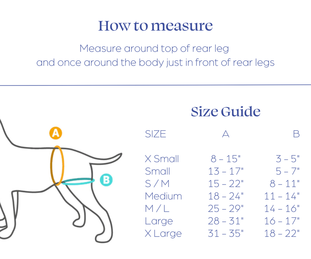 Rear Lift Dog Harness product image 2