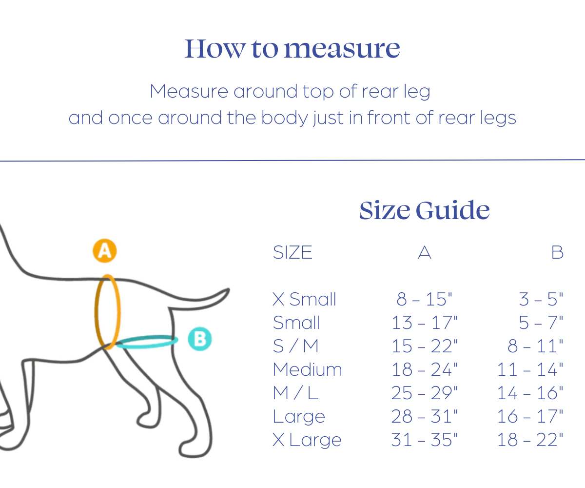 Rear Lift Dog Harness product image 2