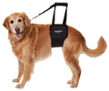 Dog Support Sling product image 1