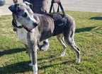 Dog Support Sling product image 2