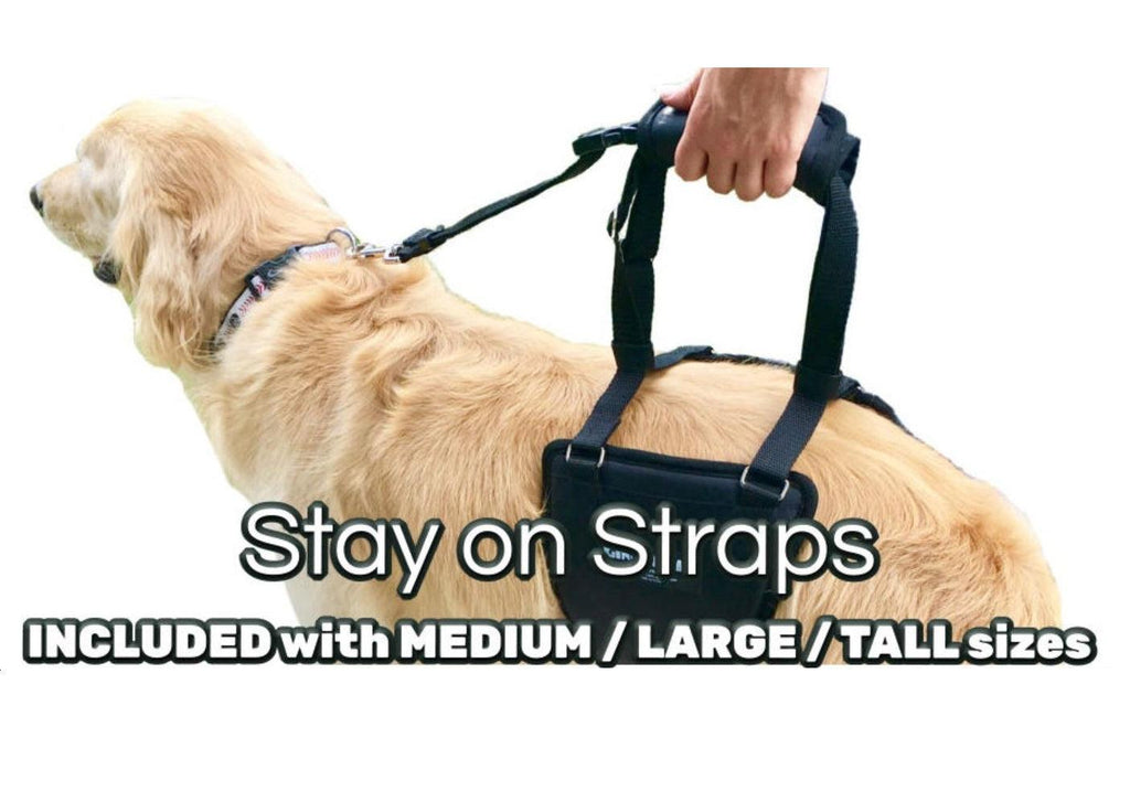 Dog Support Sling product image 6