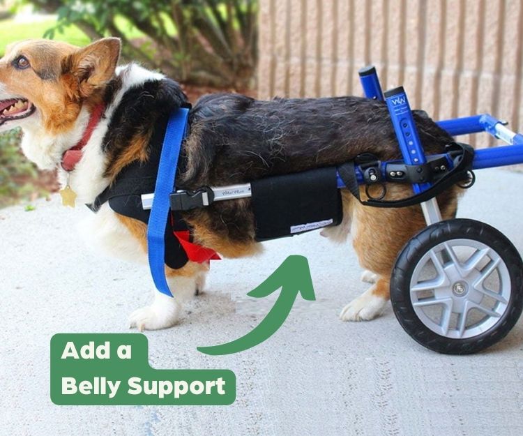 Dog Wheelchair Belly Support product image 1