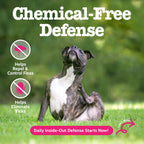 Dog Flea & Tick Soft Chew Supplement product image 2