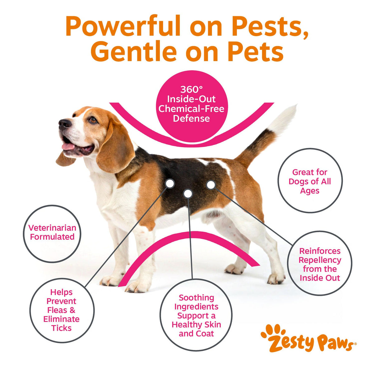 Dog Flea & Tick Soft Chew Supplement product image 3