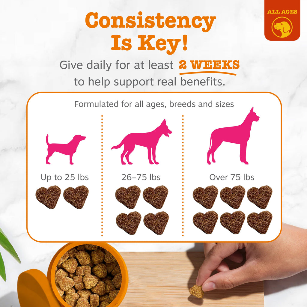 Dog Flea & Tick Soft Chew Supplement product image 4