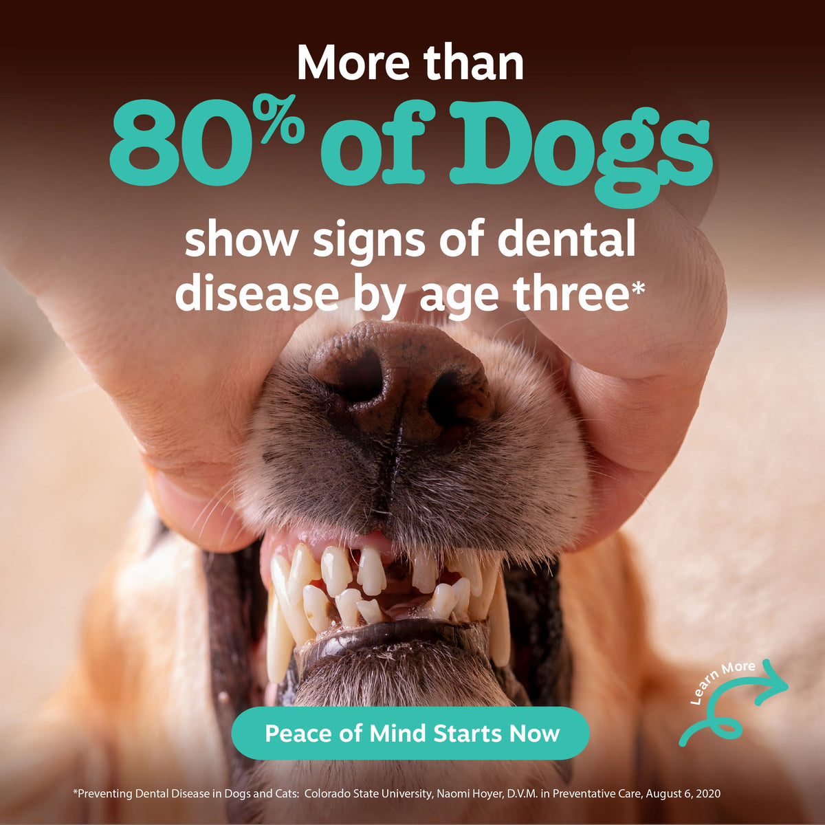 Dog Dental Chews product image 2
