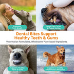 Dog Dental Chews product image 3