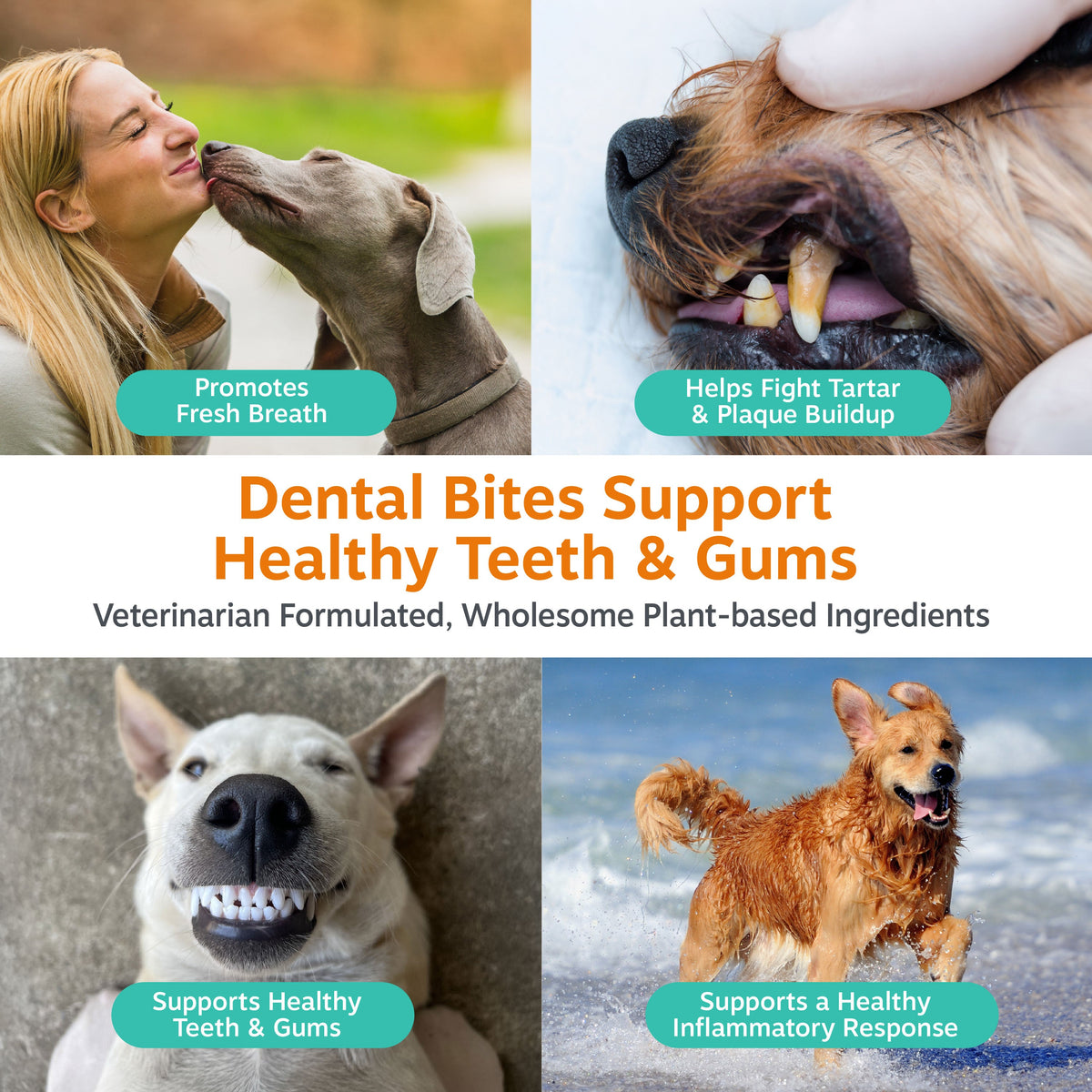 Dog Dental Chews product image 3