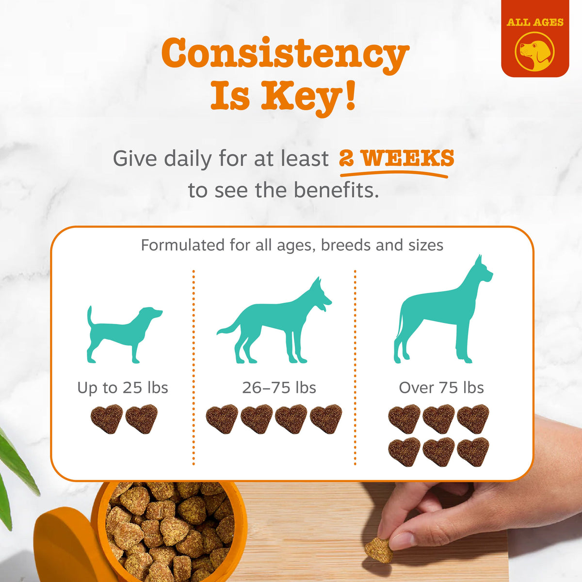 Dog Dental Chews product image 4