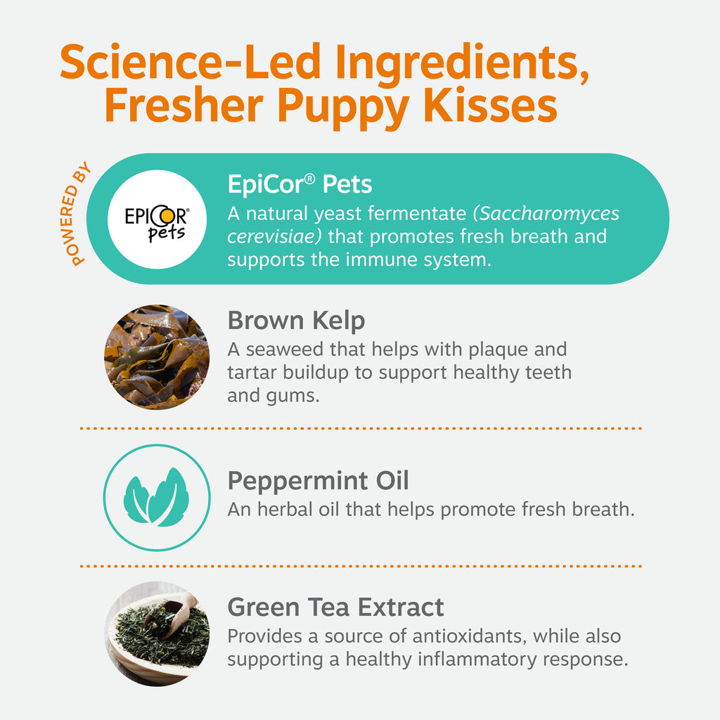 Dog Dental Chews product image 5