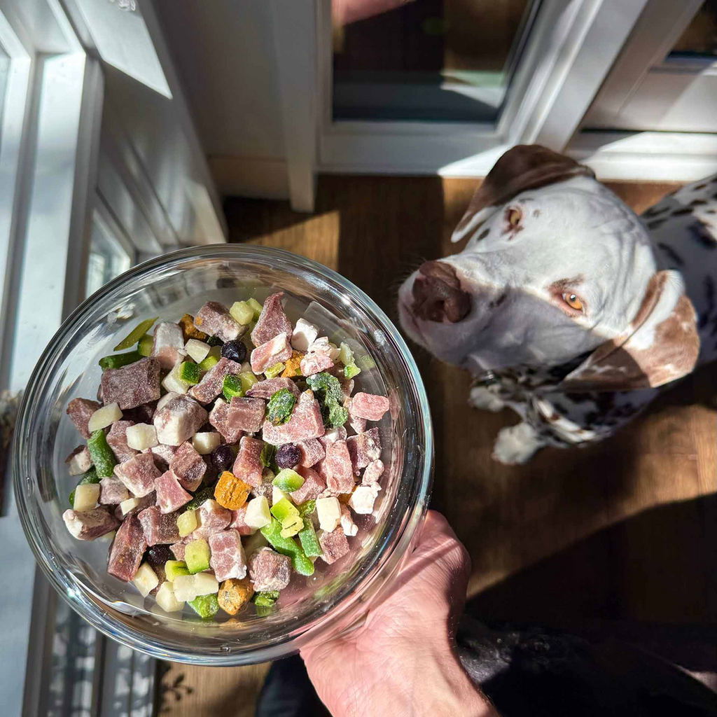 Raw Dog Food product image 4