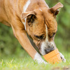 Dog Treat Dispenser product image 5