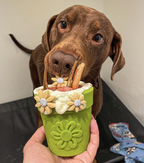 Dog Treat Dispenser product image 11