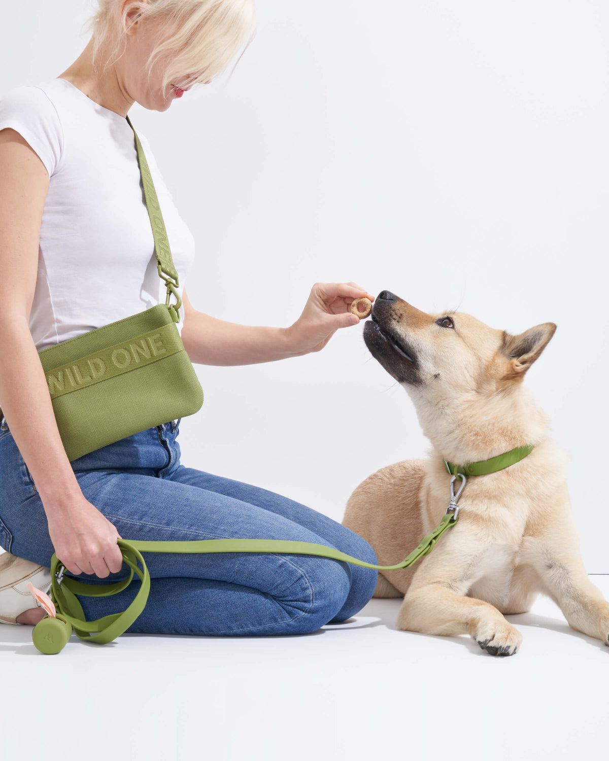 Leash-Attached Dog Waste Bag Dispenser product image 68