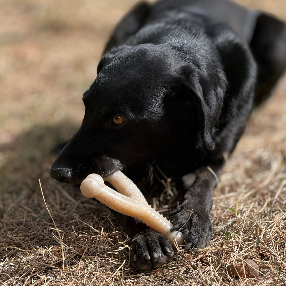 Nylon Dog Chew Toy product image 6