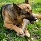 Nylon Dog Chew Toy product image 2
