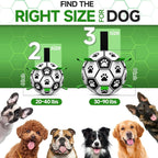 Dog Soccer Ball product image 3