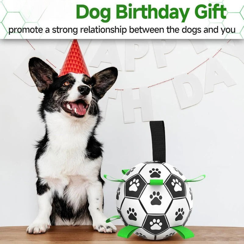 Dog Soccer Ball product image 4