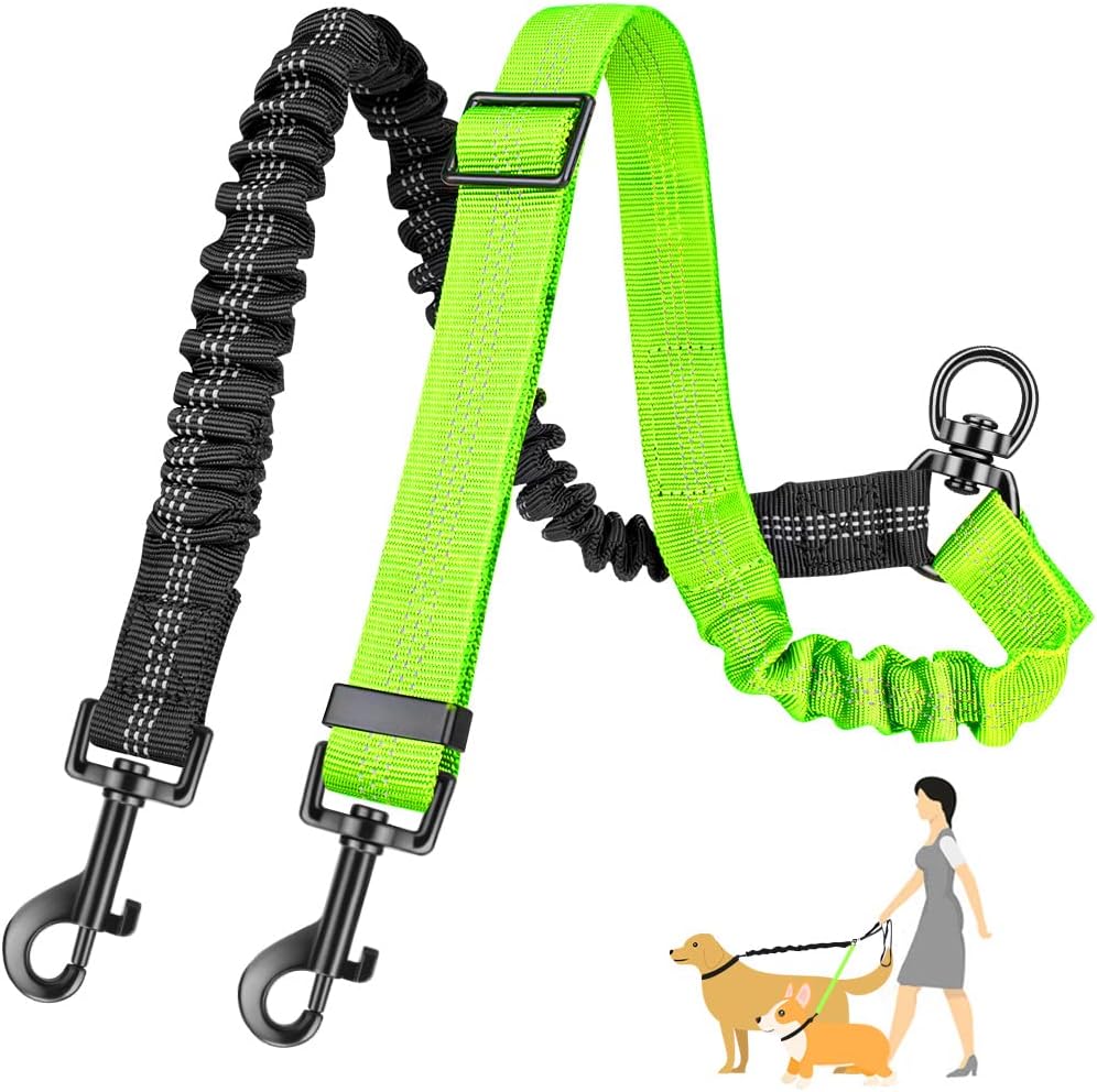 Dog Leash product image 1