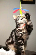 Cat Wand Toy product image 1