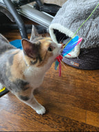 Cat Wand Toy product image 5