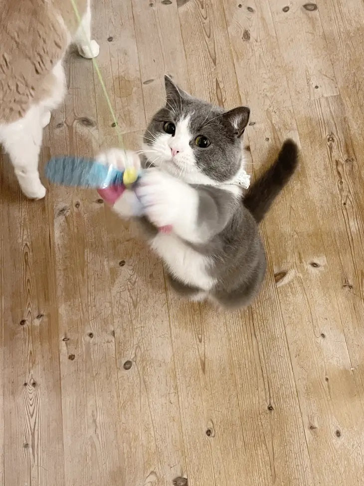 Cat Wand Toy product image 6