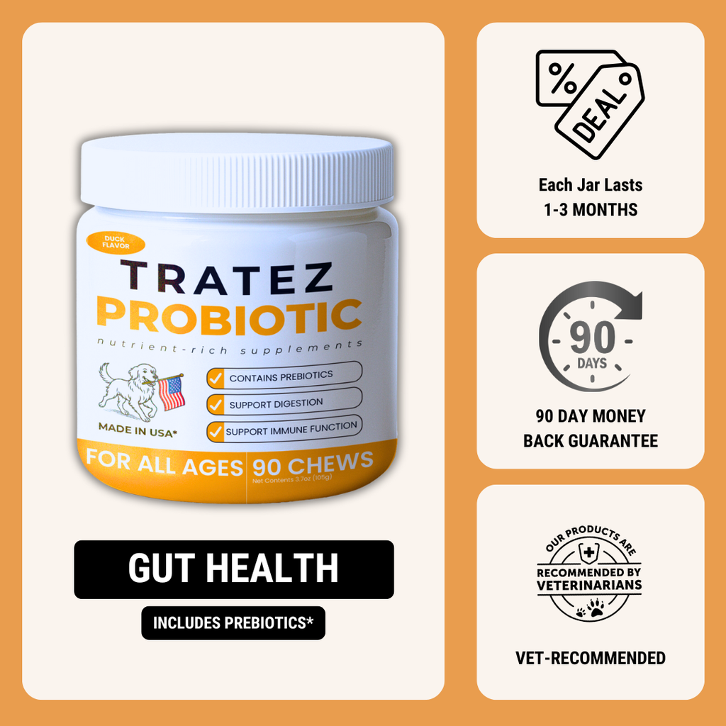 Dog Probiotic Soft Chews product image 1
