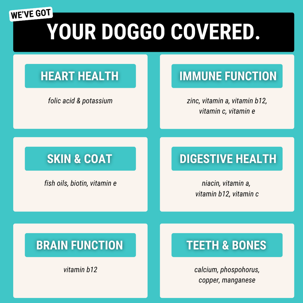 Dog Multivitamin Chews product image 6