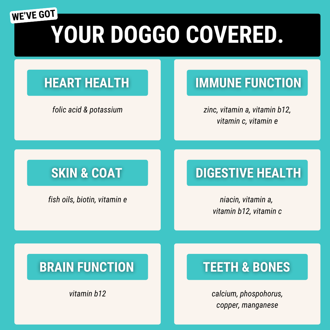 Dog Multivitamin Chews product image 6
