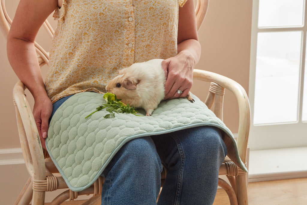 Guinea Pig Pads product image 2