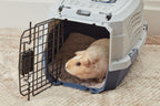Guinea Pig Pads product image 9